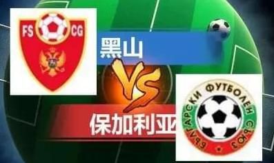 麻豆精品视频在线观看视频